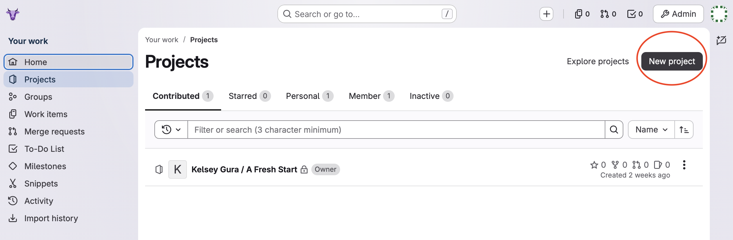 EphGit New project screen
